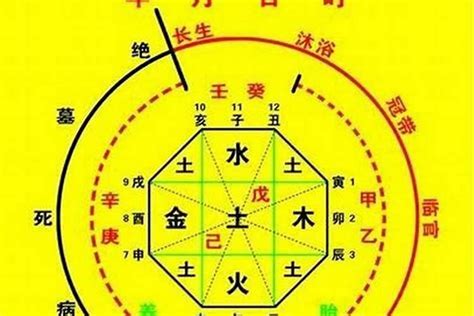 八字喜木|生辰八字算命、五行喜用神查询（免费测算）